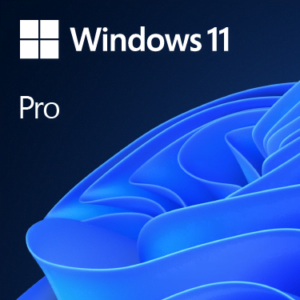 Windows 11 Pro Digital Key