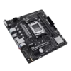 fwebp (3) ASUS PRIME A620M-E Motherboard